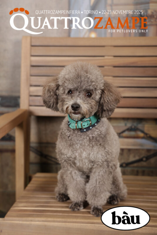 Concorso Fotografico - QuattroZampe in Fiera - Torino - Novembre 2025