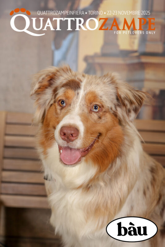 Concorso Fotografico - QuattroZampe in Fiera - Torino - Novembre 2025