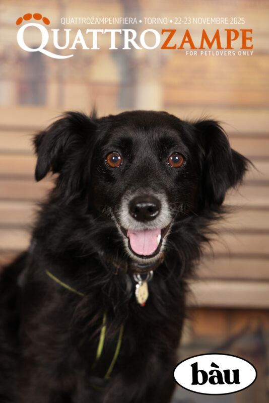 Concorso Fotografico - QuattroZampe in Fiera - Torino - Novembre 2025