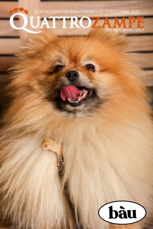 Concorso Fotografico - QuattroZampe in Fiera - Torino - Novembre 2025