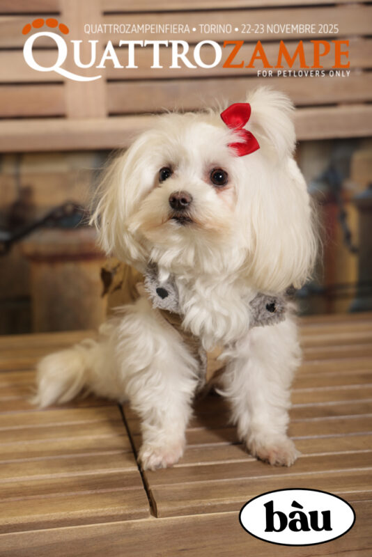 Concorso Fotografico - QuattroZampe in Fiera - Torino - Novembre 2025
