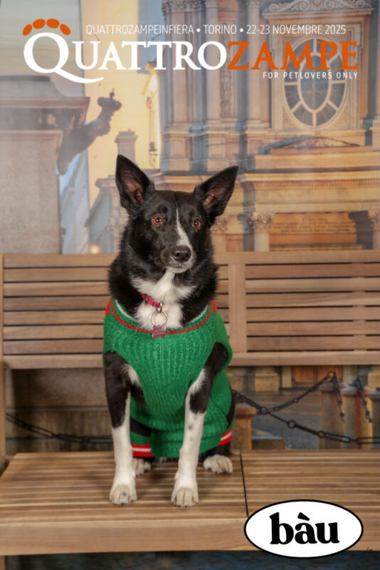 Concorso Fotografico - QuattroZampe in Fiera - Torino - Novembre 2025