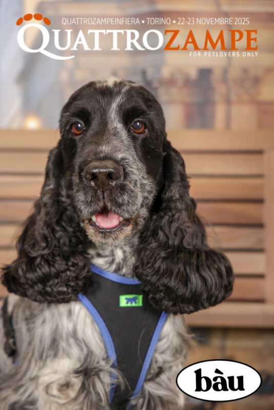 Concorso Fotografico - QuattroZampe in Fiera - Torino - Novembre 2025
