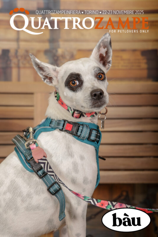 Concorso Fotografico - QuattroZampe in Fiera - Torino - Novembre 2025