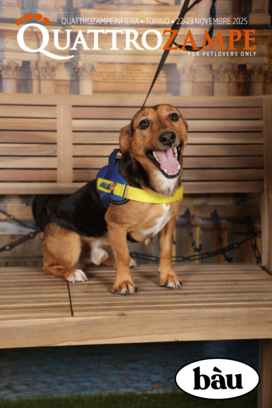 Concorso Fotografico - QuattroZampe in Fiera - Torino - Novembre 2025