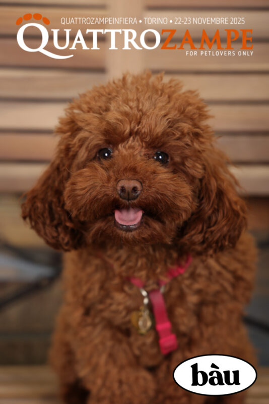 Concorso Fotografico - QuattroZampe in Fiera - Torino - Novembre 2025