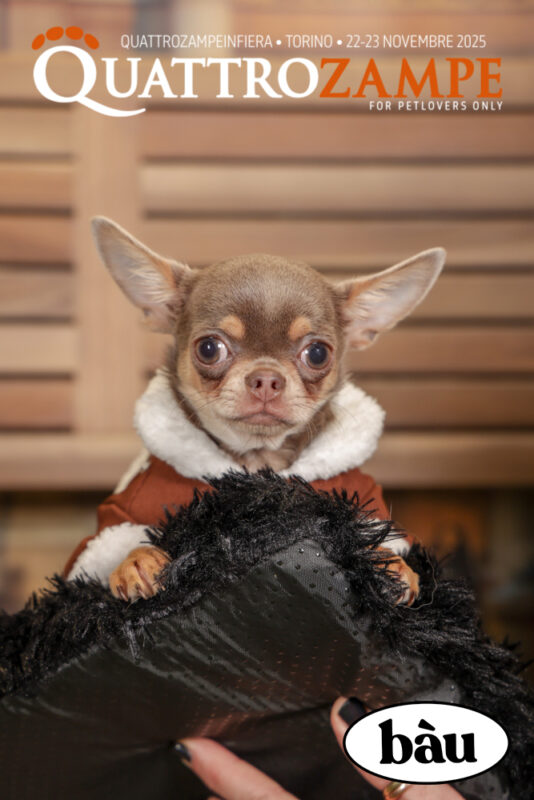 Concorso Fotografico - QuattroZampe in Fiera - Torino - Novembre 2025