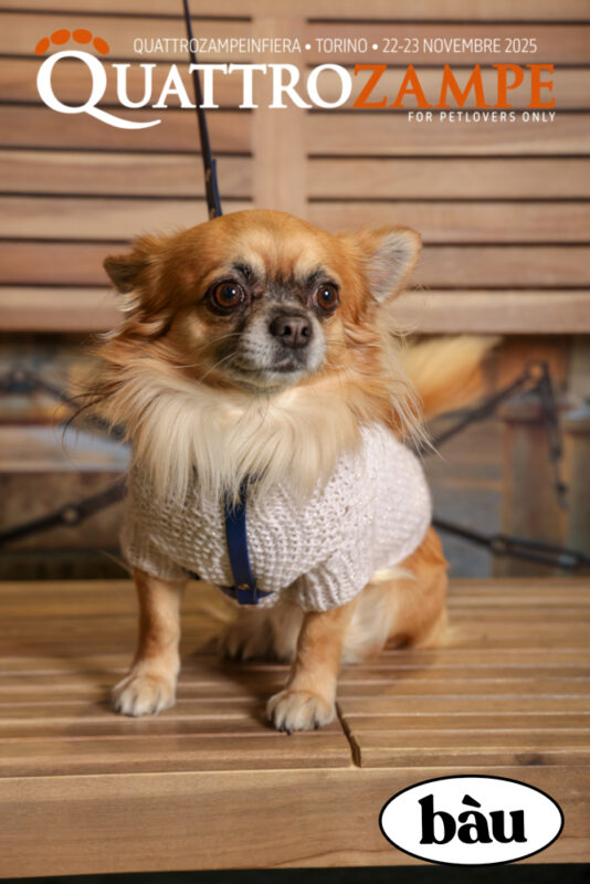 Concorso Fotografico - QuattroZampe in Fiera - Torino - Novembre 2025