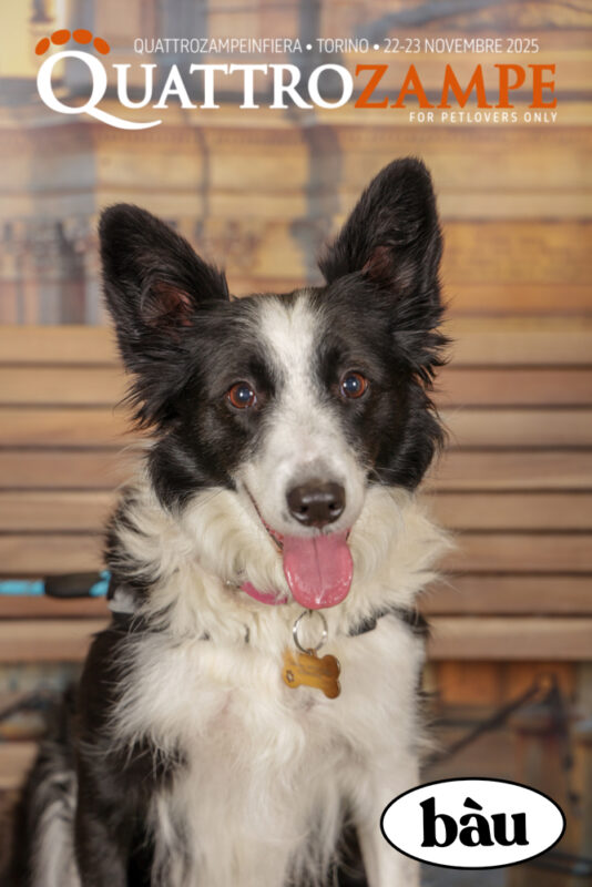 Concorso Fotografico - QuattroZampe in Fiera - Torino - Novembre 2025