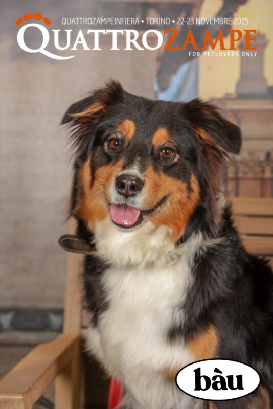 Concorso Fotografico - QuattroZampe in Fiera - Torino - Novembre 2025