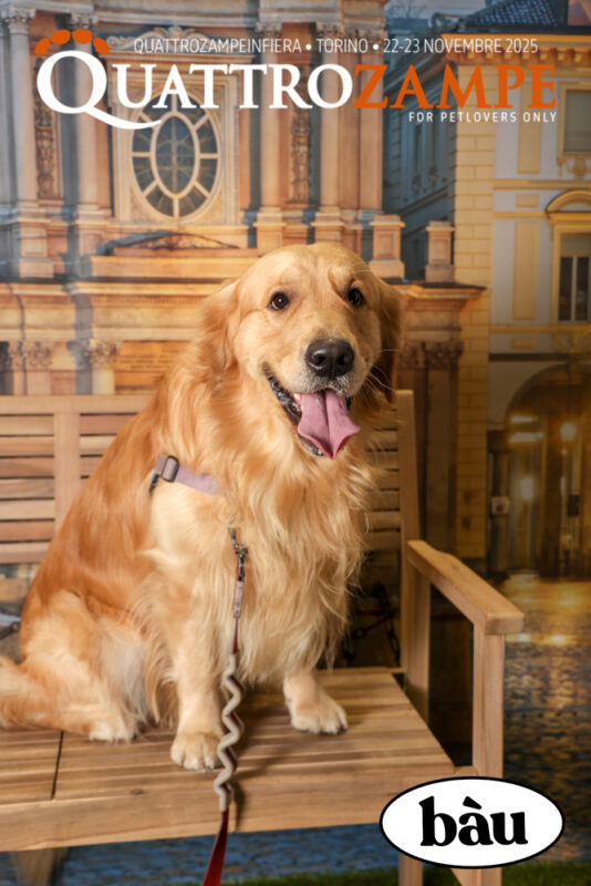 Concorso Fotografico - QuattroZampe in Fiera - Torino - Novembre 2025