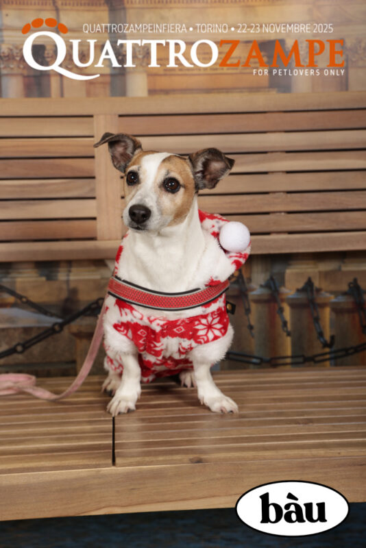 Concorso Fotografico - QuattroZampe in Fiera - Torino - Novembre 2025