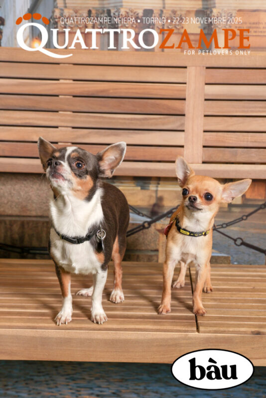 Concorso Fotografico - QuattroZampe in Fiera - Torino - Novembre 2025
