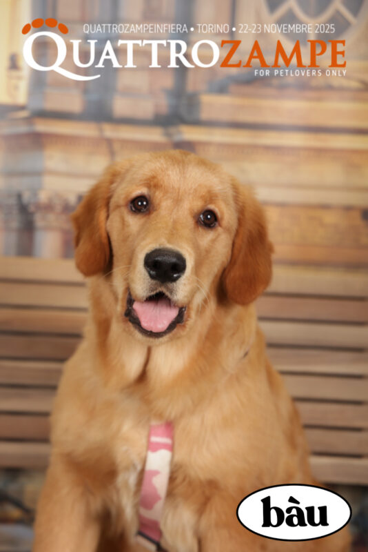 Concorso Fotografico - QuattroZampe in Fiera - Torino - Novembre 2025