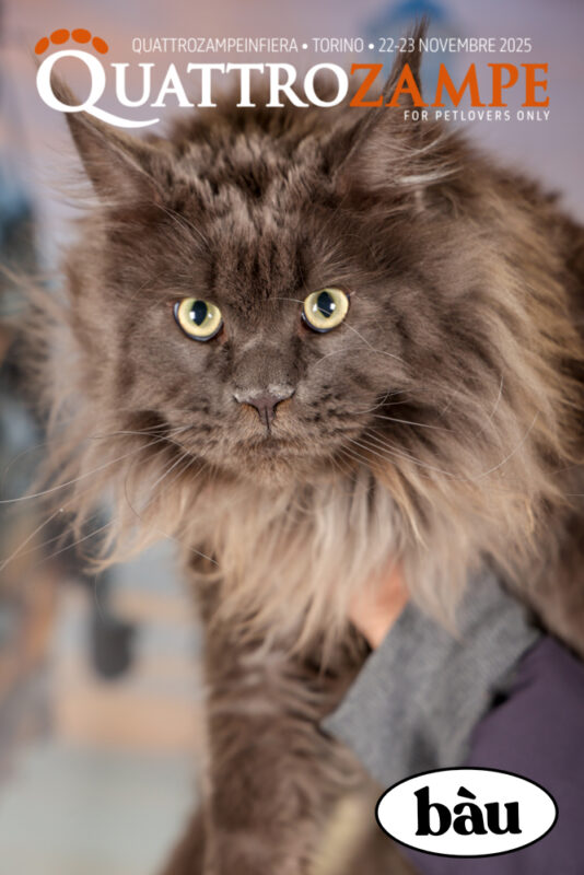 Concorso Fotografico - QuattroZampe in Fiera - Torino - Novembre 2025
