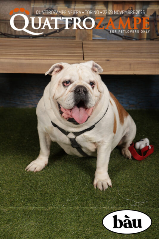 Concorso Fotografico - QuattroZampe in Fiera - Torino - Novembre 2025