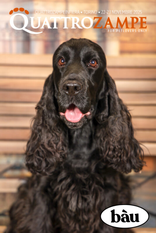 Concorso Fotografico - QuattroZampe in Fiera - Torino - Novembre 2025