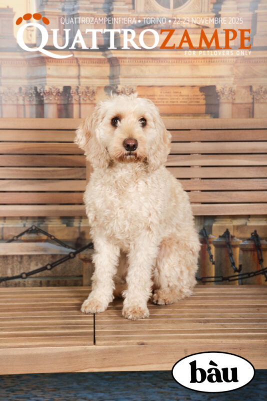 Concorso Fotografico - QuattroZampe in Fiera - Torino - Novembre 2025