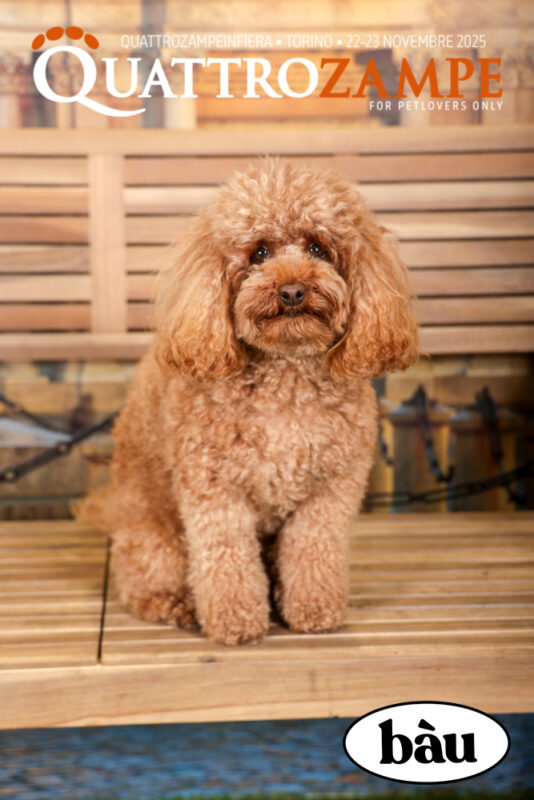 Concorso Fotografico - QuattroZampe in Fiera - Torino - Novembre 2025
