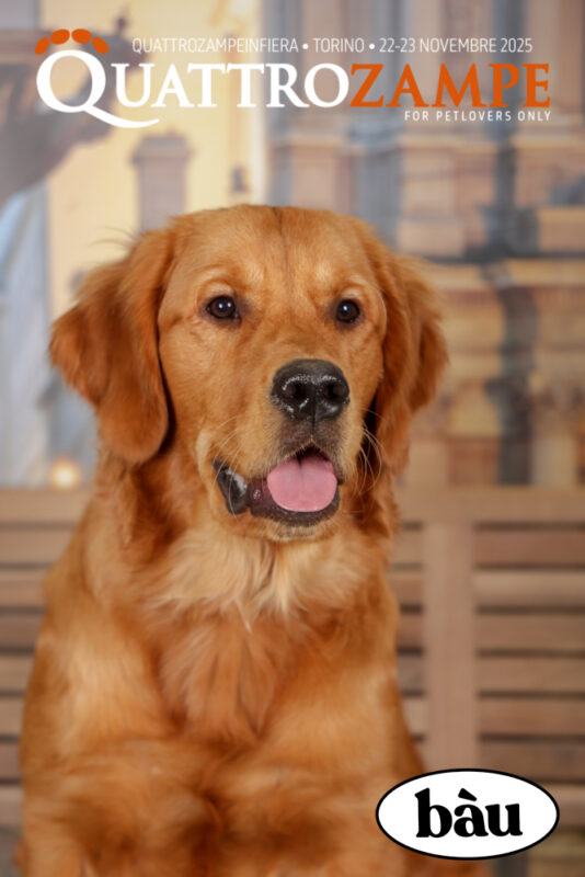 Concorso Fotografico - QuattroZampe in Fiera - Torino - Novembre 2025