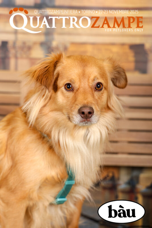 Concorso Fotografico - QuattroZampe in Fiera - Torino - Novembre 2025
