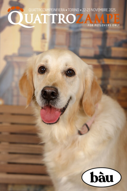 Concorso Fotografico - QuattroZampe in Fiera - Torino - Novembre 2025