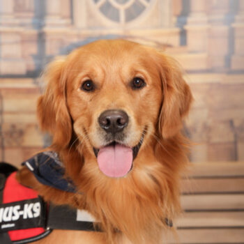 Concorso Fotografico - QuattroZampe in Fiera - Torino - Novembre 2025