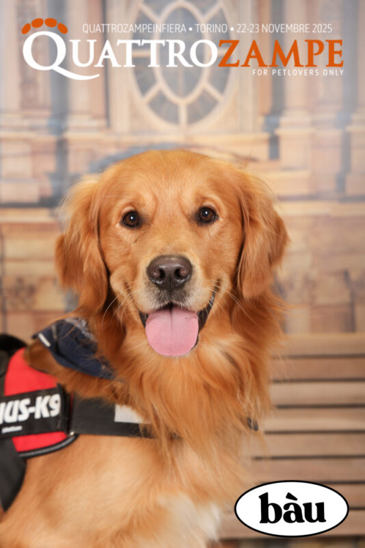 Concorso Fotografico - QuattroZampe in Fiera - Torino - Novembre 2025