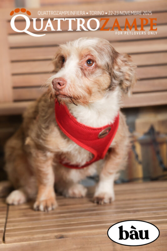 Concorso Fotografico - QuattroZampe in Fiera - Torino - Novembre 2025