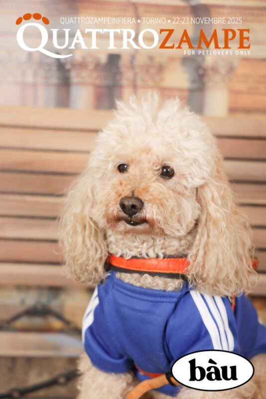 Concorso Fotografico - QuattroZampe in Fiera - Torino - Novembre 2025