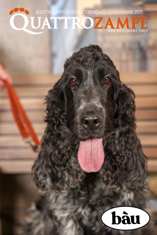 Concorso Fotografico - QuattroZampe in Fiera - Torino - Novembre 2025