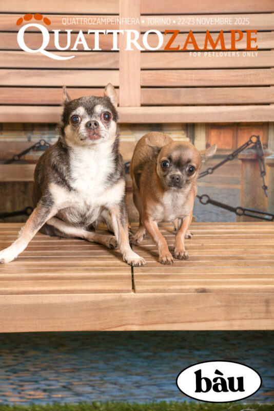 Concorso Fotografico - QuattroZampe in Fiera - Torino - Novembre 2025