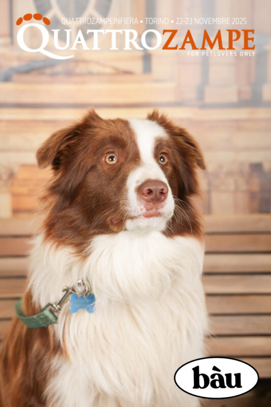 Concorso Fotografico - QuattroZampe in Fiera - Torino - Novembre 2025