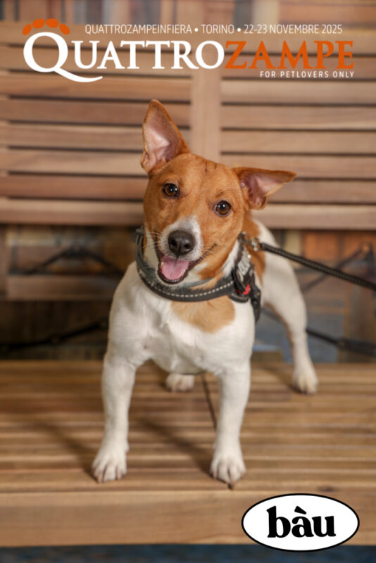 Concorso Fotografico - QuattroZampe in Fiera - Torino - Novembre 2025