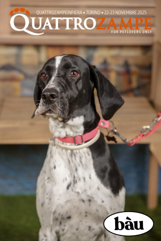 Concorso Fotografico - QuattroZampe in Fiera - Torino - Novembre 2025
