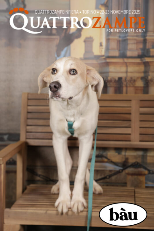 Concorso Fotografico - QuattroZampe in Fiera - Torino - Novembre 2025