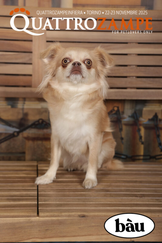 Concorso Fotografico - QuattroZampe in Fiera - Torino - Novembre 2025