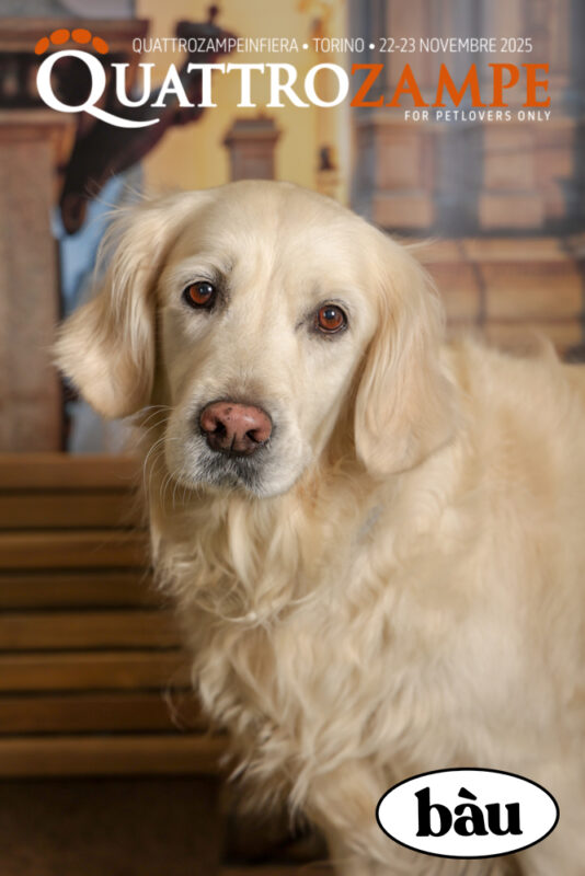 Concorso Fotografico - QuattroZampe in Fiera - Torino - Novembre 2025