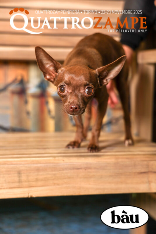 Concorso Fotografico - QuattroZampe in Fiera - Torino - Novembre 2025