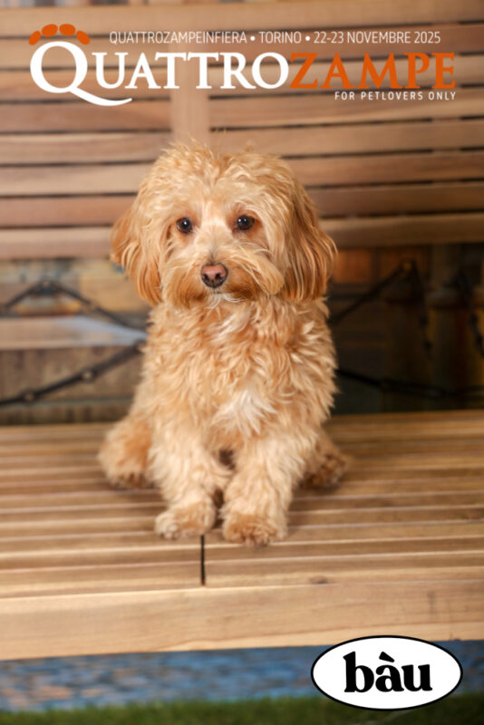 Concorso Fotografico - QuattroZampe in Fiera - Torino - Novembre 2025