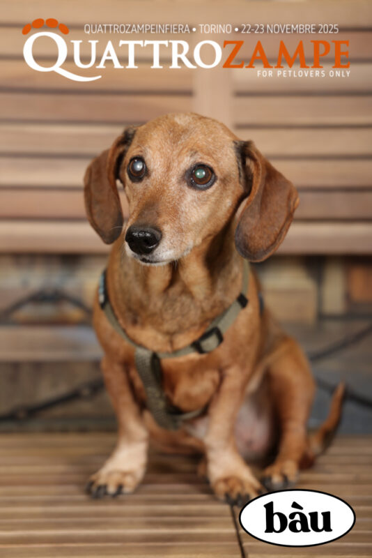 Concorso Fotografico - QuattroZampe in Fiera - Torino - Novembre 2025