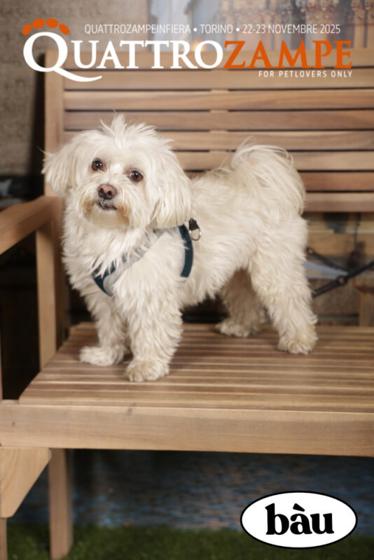 Concorso Fotografico - QuattroZampe in Fiera - Torino - Novembre 2025