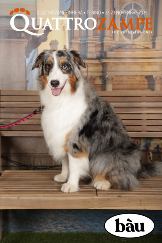 Concorso Fotografico - QuattroZampe in Fiera - Torino - Novembre 2025