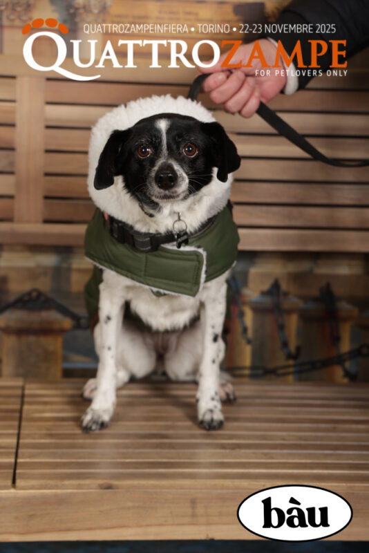 Concorso Fotografico - QuattroZampe in Fiera - Torino - Novembre 2025