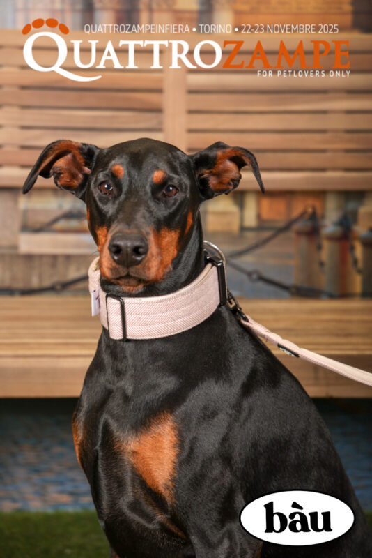 Concorso Fotografico - QuattroZampe in Fiera - Torino - Novembre 2025