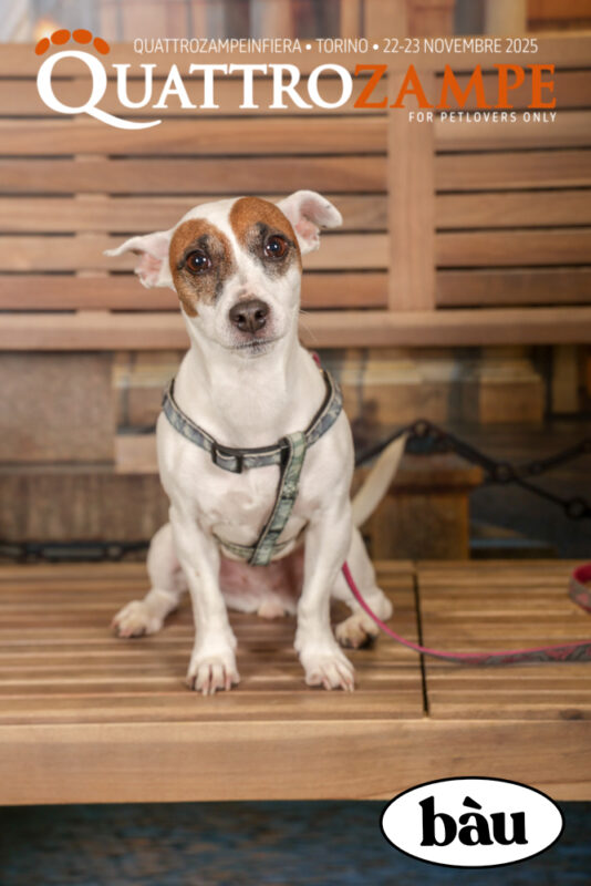 Concorso Fotografico - QuattroZampe in Fiera - Torino - Novembre 2025
