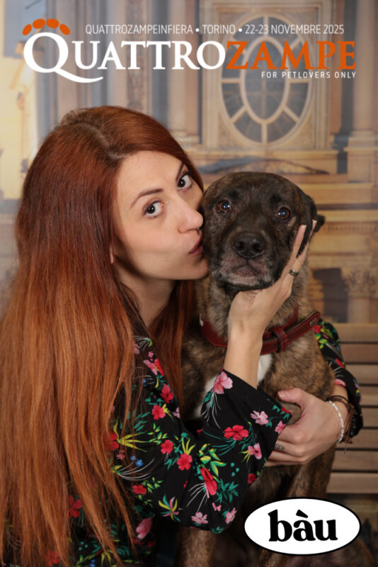 Concorso Fotografico - QuattroZampe in Fiera - Torino - Novembre 2025