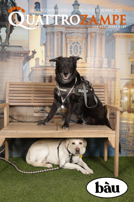 Concorso Fotografico - QuattroZampe in Fiera - Torino - Novembre 2025