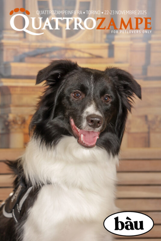 Concorso Fotografico - QuattroZampe in Fiera - Torino - Novembre 2025