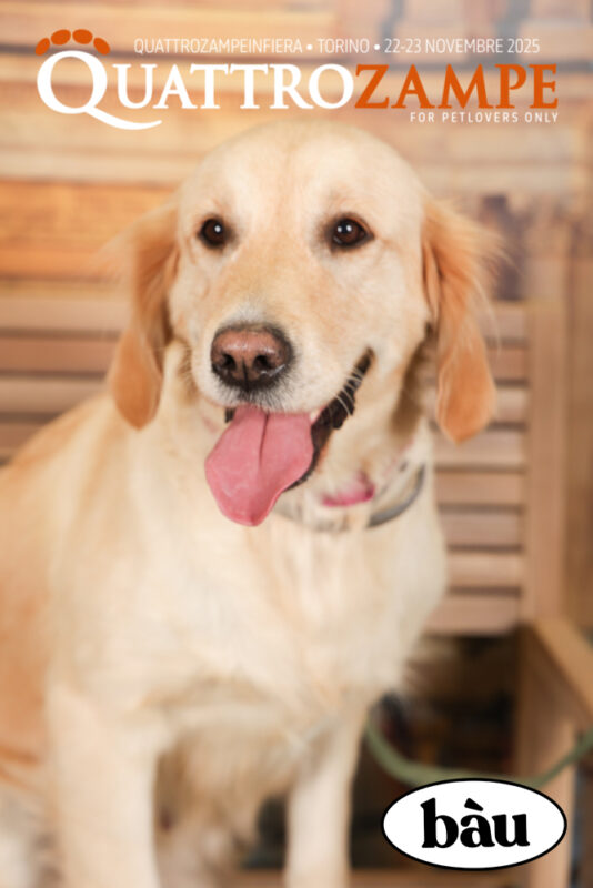 Concorso Fotografico - QuattroZampe in Fiera - Torino - Novembre 2025